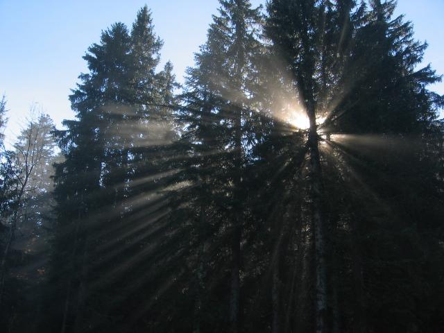 048456_Sonnenstrahlen.jpg