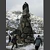 047206_Adler.jpg