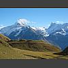 047492_Schreck-_Finsteraarhorn.jpg