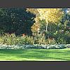 047907_Park.jpg