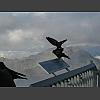 047977_Landeanflug.jpg