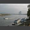 048482_Rhein.jpg