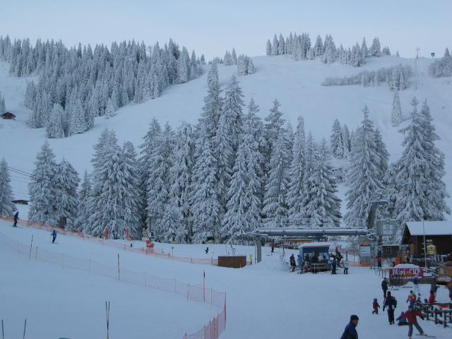 049213_Winterlandschaft.jpg