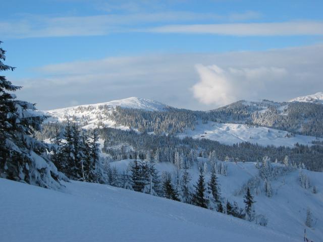 049296_Winterlandschaft.jpg