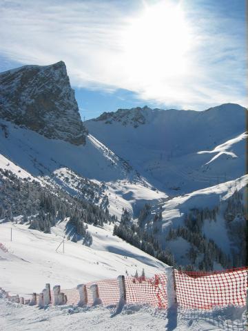 049339_Sonnenschein.jpg