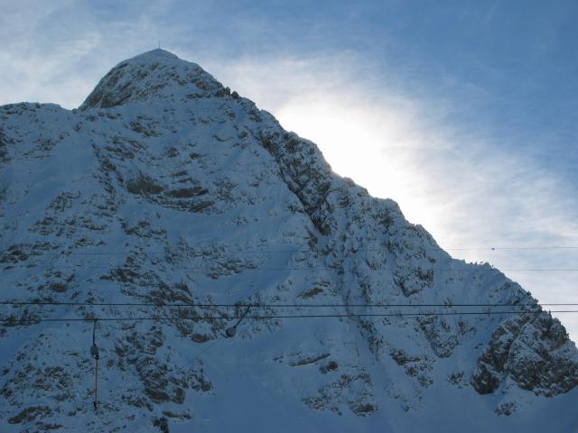 049347_Schafsnase.jpg