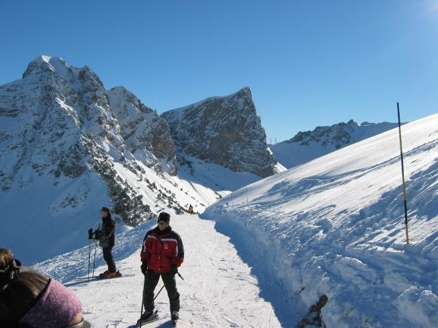 049426_Schafsnase_Rossfluh.jpg