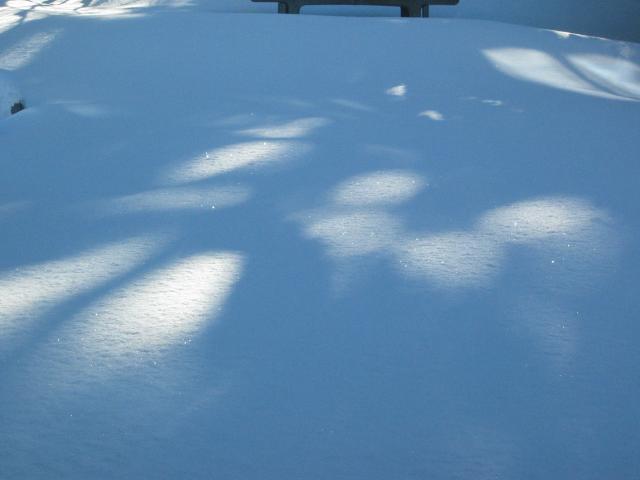 049430_glitzernder_Schnee.jpg