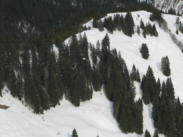 050394_Moerliherz.jpg