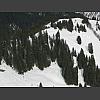 050394_Moerliherz.jpg