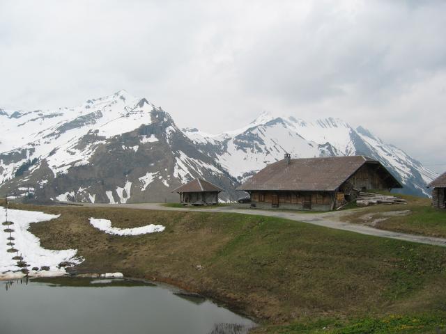 051270_Jaenzimatt.jpg