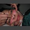 051237_Schweinenase.jpg