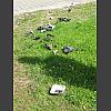 051355_Ruhe_in_Frieden.jpg