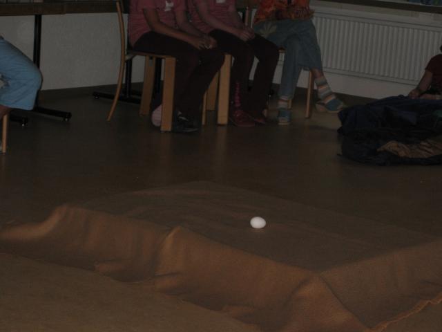 052450_Am_Anfang_war_das_Ei.jpg