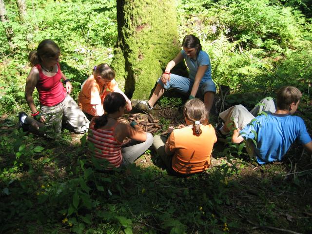 052649_Gruppe_Gruen.jpg