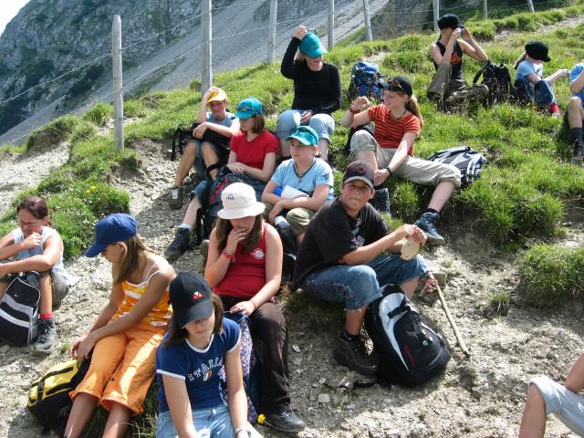 052727_Wandervoegel.jpg