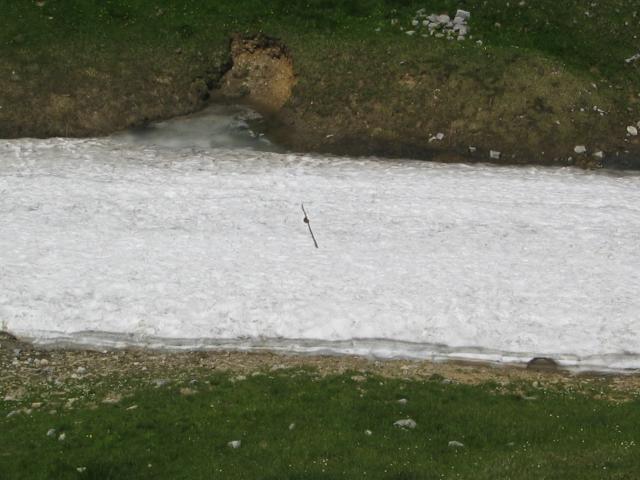 052761_einsames_Zepter.jpg