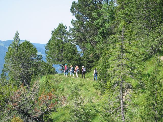052826_Weg_zur_Passhoehe.jpg