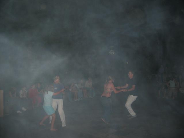 052933_Disco-Fox.jpg