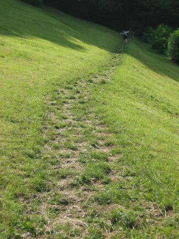 053091_steiler_Weg.jpg