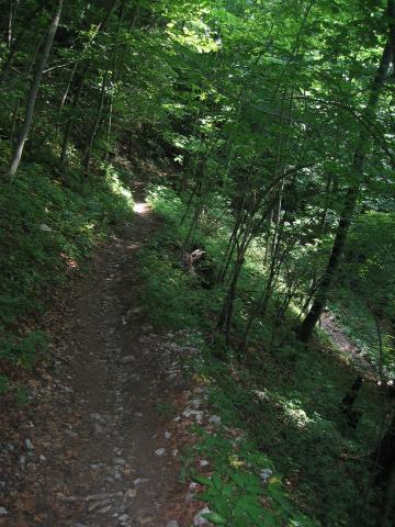 053096_Weg_runter.jpg