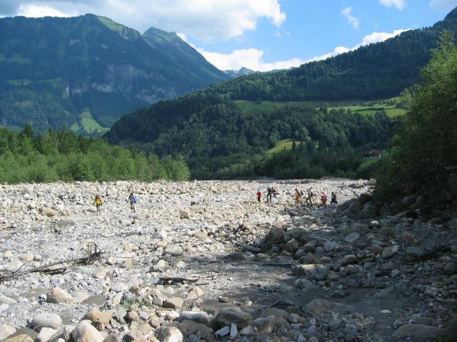 053459_durchs_Geroell.jpg
