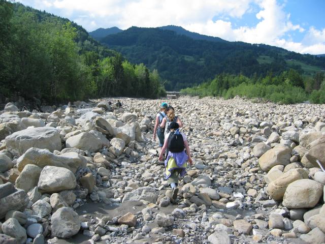 053460_im_Gaensemarsch.jpg