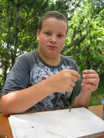 053481_Samuel_Jossi.jpg