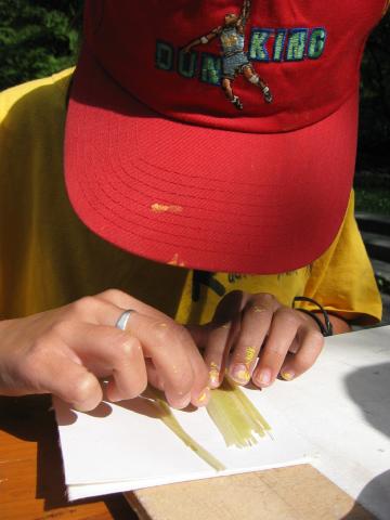 053507_Papyrus_zusammensetzen.jpg