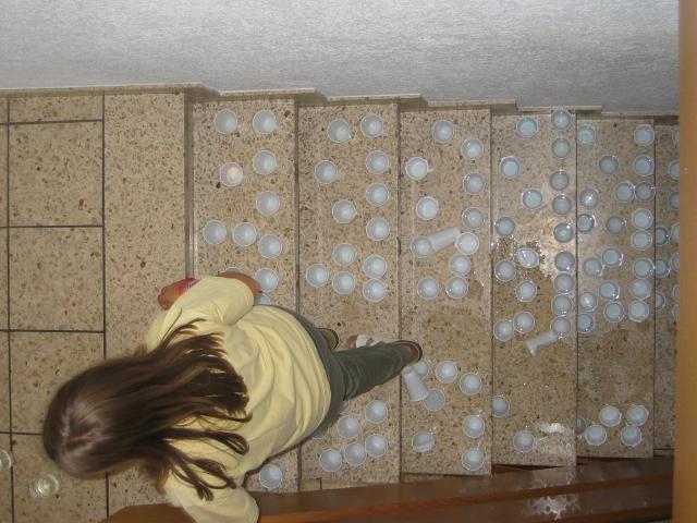 053600_Moerligeist.jpg