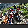 052727_Wandervoegel.jpg