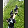 052813_Gratwanderung.jpg