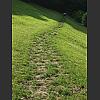 053091_steiler_Weg.jpg
