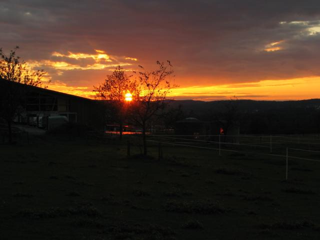 054209_Sonnenuntergang.jpg