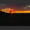 054209_Sonnenuntergang.jpg
