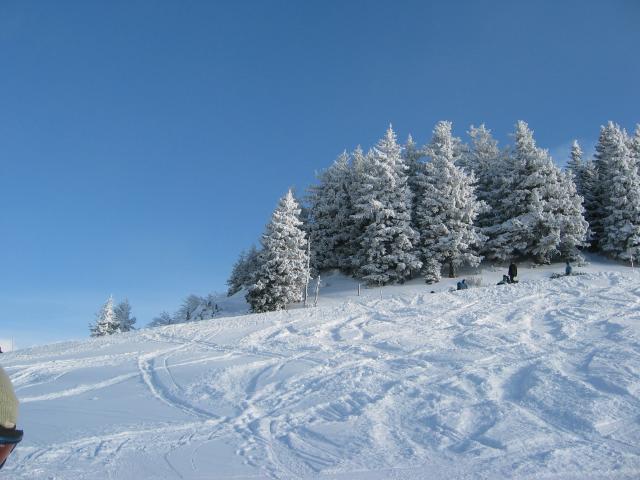 054922_Winterlandschaft.jpg