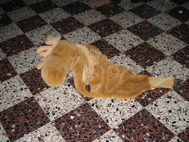 055200_Elch_Erik.jpg