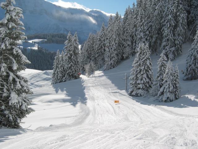 055229_traumhafte_Piste.jpg