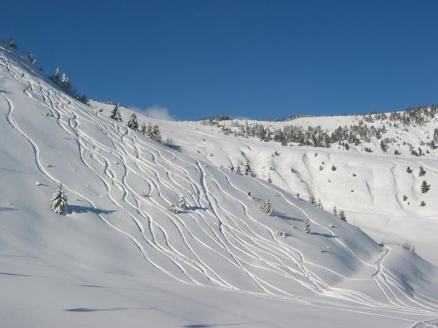 055231_Tiefschneespuren.jpg
