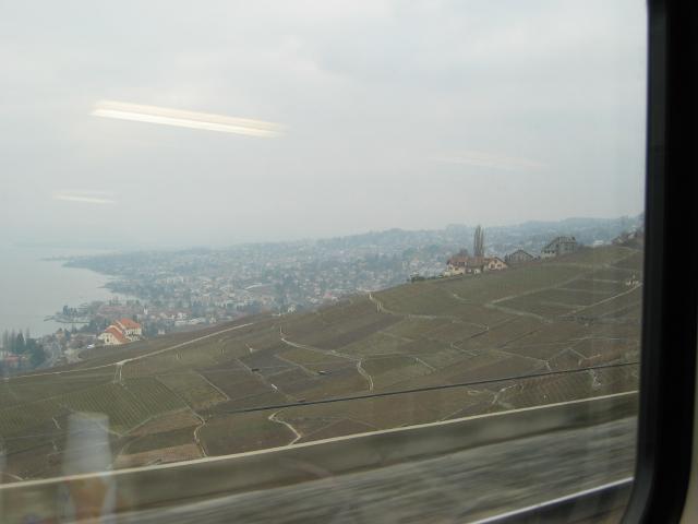 055585_Rebberge_ob_Genfersee.jpg