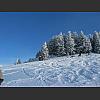 054922_Winterlandschaft.jpg