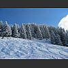 054923_Winterlandschaft.jpg