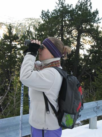 063936_Diana_Briel.jpg