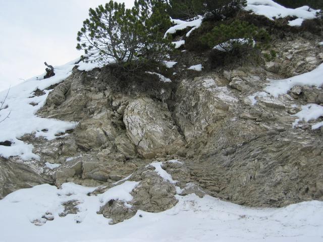 063955_Faltungsgestein.jpg