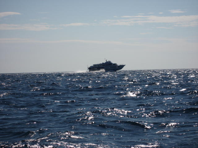 073240_Tragfluegelschiff.jpg