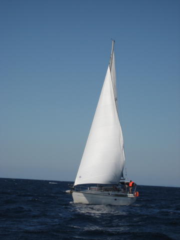 073241_Crew_B.jpg