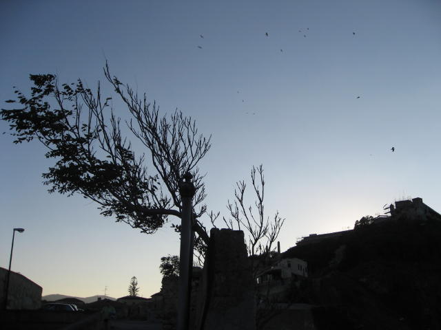 073276_Abendstimmung.jpg