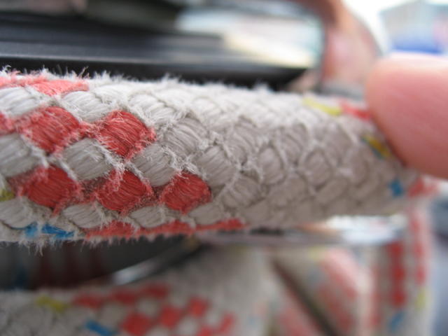 073439_Schote.jpg
