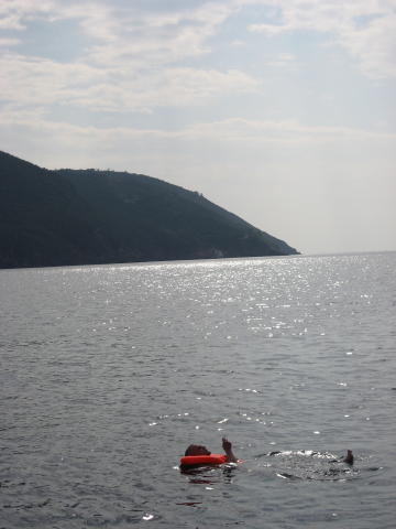 073691_Suchthuufe.jpg