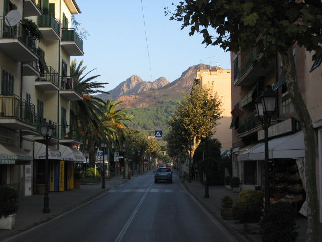 073781_Allee.jpg